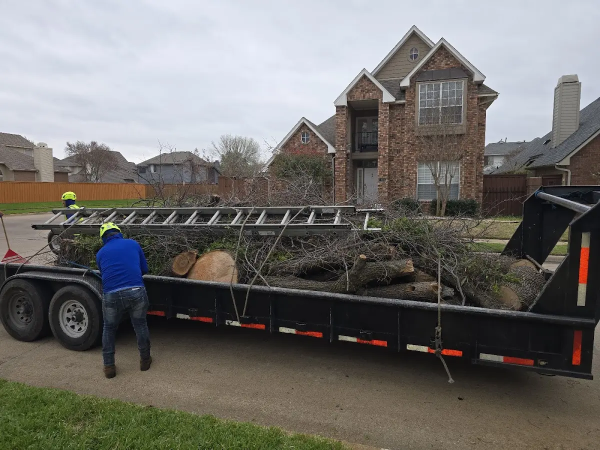 Expert Tree Fertilization with proper safety equipment in Holmes Beach